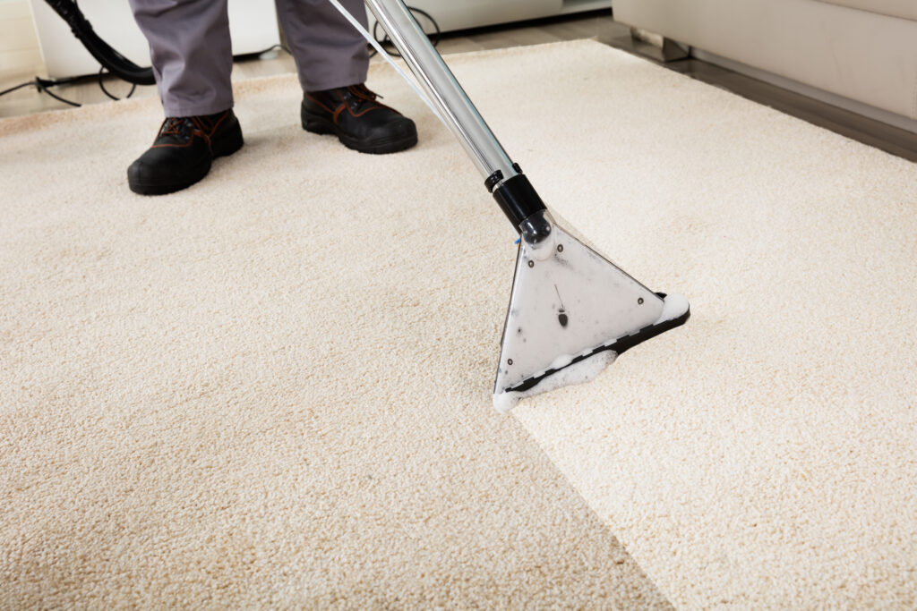 Carpet Cleaning Services | Flood Squad Australia