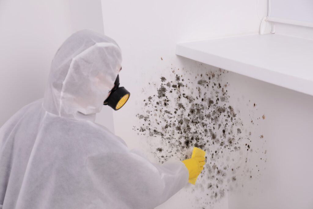 Mold Inspection | Flood Squad