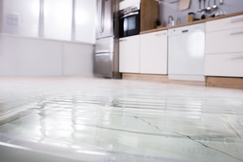 Water Damage in Your Home | Flood Squad Australia