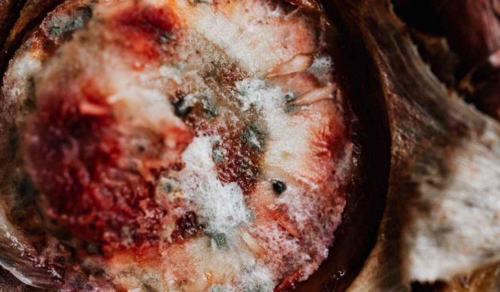 Mould Remediation And Real Estate