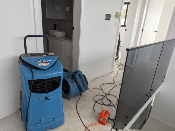 dehumidifiers for water damage