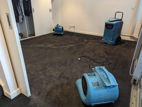 residential flooded carpet cleaning