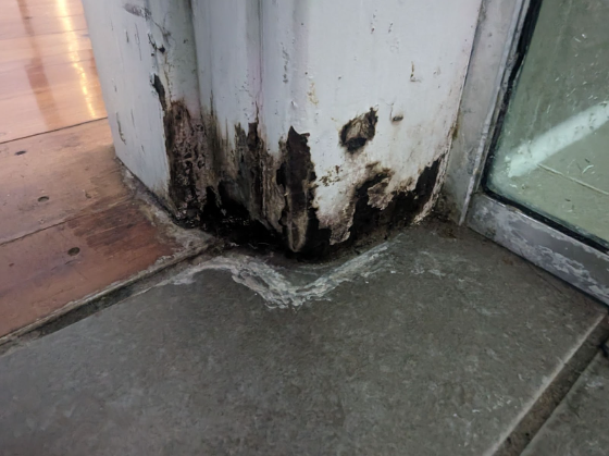 Water Damage Repair