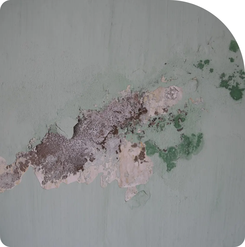 image - 2025-07-31T171434.171