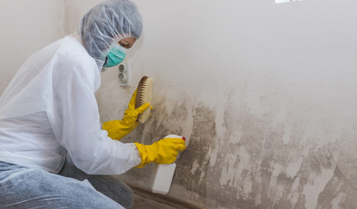mould control