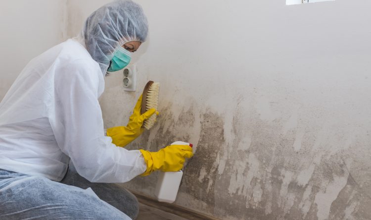 mould control