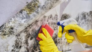 Mould Cleaning in Sydney