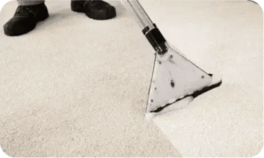 CARPET CLEANING