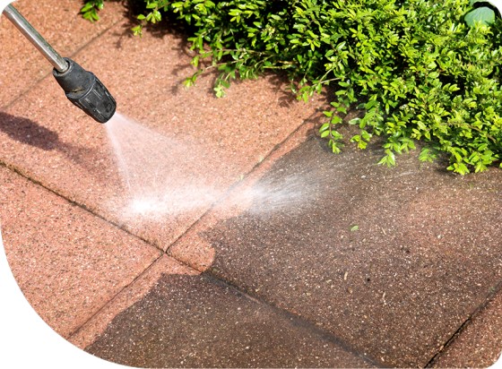 Exterior Cleaning