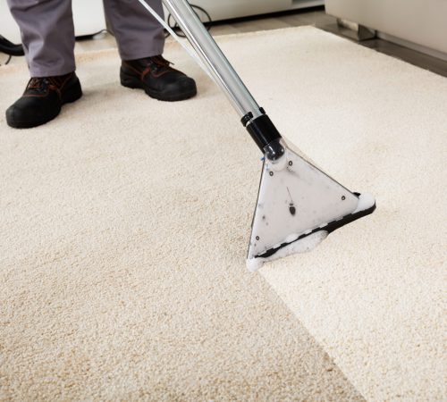 Carpet Cleaning Services | Flood Squad Australia